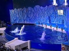 -珠海长隆海洋王国