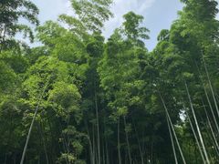 -杭州黄龙洞