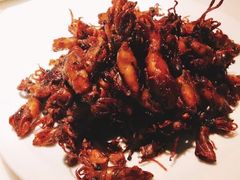 炭烧海兔-日丰园海肠水饺·老字号大连海鲜(和平广场店)