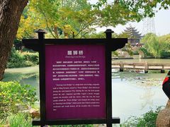 -韩湘水博园