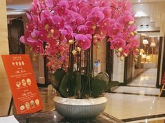 -上海小南国(国发店)