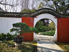 -上海醉白池公园