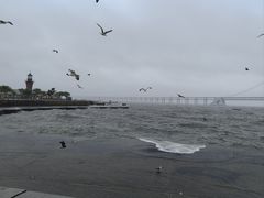 -星海广场