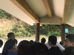 -牛背梁国家森林公园