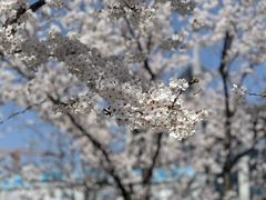 -龙美术馆(西岸馆)