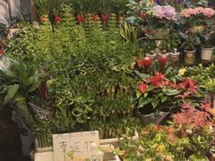 -香炉礁家具市场