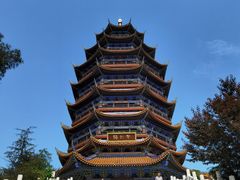 -铁山坪森林公园