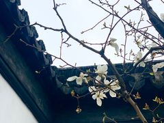 -苏州文旅花间堂·探花府酒店