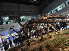 -自贡恐龙博物馆