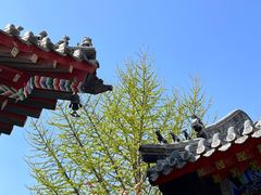 -长安寺