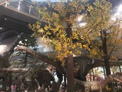 -湖南省地质博物馆