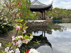 -无锡蠡湖国家湿地公园-蠡园
