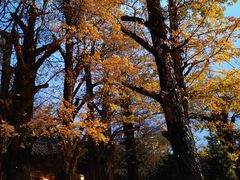 -华雅花园大酒店