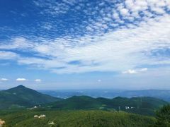 -武陵山森林公园