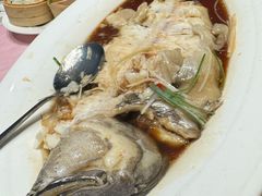 -金狮麟·新豫菜(金码大厦店)