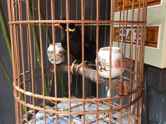-北京阅微庄四合院文化特色酒店