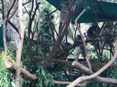 -可伦宾野生动物保护区