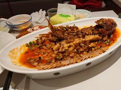 -新侨小馆(东直门北小街店)