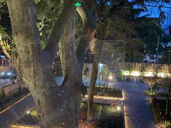 景观位-穹六人间 people 6(岳阳路店)