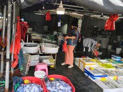 -芦潮港集贸市场