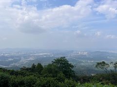 -黄埔油麻山森林公园