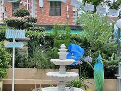 -苏小糖(鼓浪屿三丘田花园店)