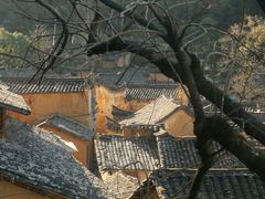 -杨家堂村