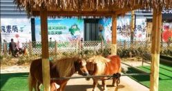 -萌宠亲子动物乐园(槐房万达店)