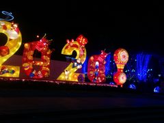 -大亚湾红树林城市湿地公园