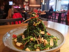 青年拌菜-青年公社烤鸭(蜀山万象汇店)