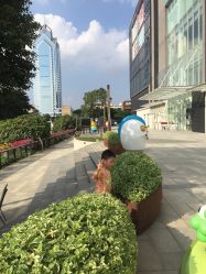 -速度小子卡丁车(基盛万科里店)