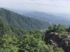 -王顺山国家森林公园