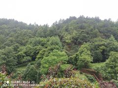 -桃花岭景区