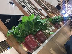 -杨翔豆皮涮牛肚(华阳城店)