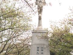 -武汉大学-樱园