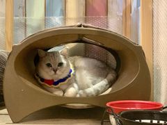 -小时光咖啡馆(开森度假森林店)