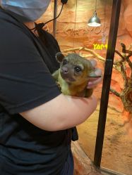 点击看大图 -Zoolung Zoolung动物主题公园(海信广场店)