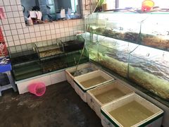 水产-胜记大排档·台山本地海鲜·台山黄鳝饭