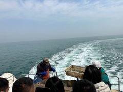 -日照世帆赛基地