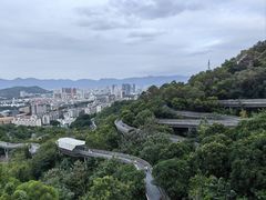 -福道