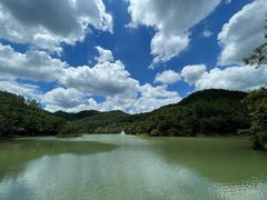 -广州白江湖森林公园