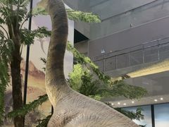 -湖南省地质博物馆