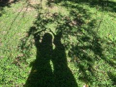 -华南国家植物园-售票处