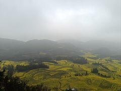 -牛街螺丝田