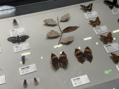 -四川大学博物馆