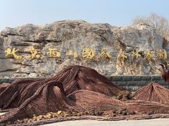 -北京西山国家森林公园