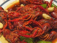 -杨氏青龙虾·羊蝎子(托乐嘉店)