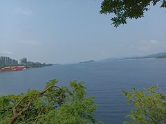 -浔味·山屿湖·正宗淳牌全鱼宴老字号