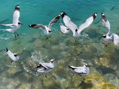 -青海湖二郎剑景区