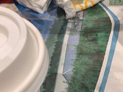 -麦当劳(北京大兴机场二层国内到达(安检外)店)